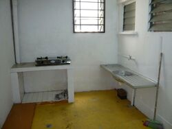Macpherson Garden Estate (D13), Terrace #461531111